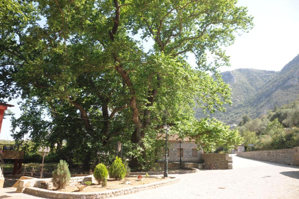 מישטראש Villa Iris מראה חיצוני תמונה